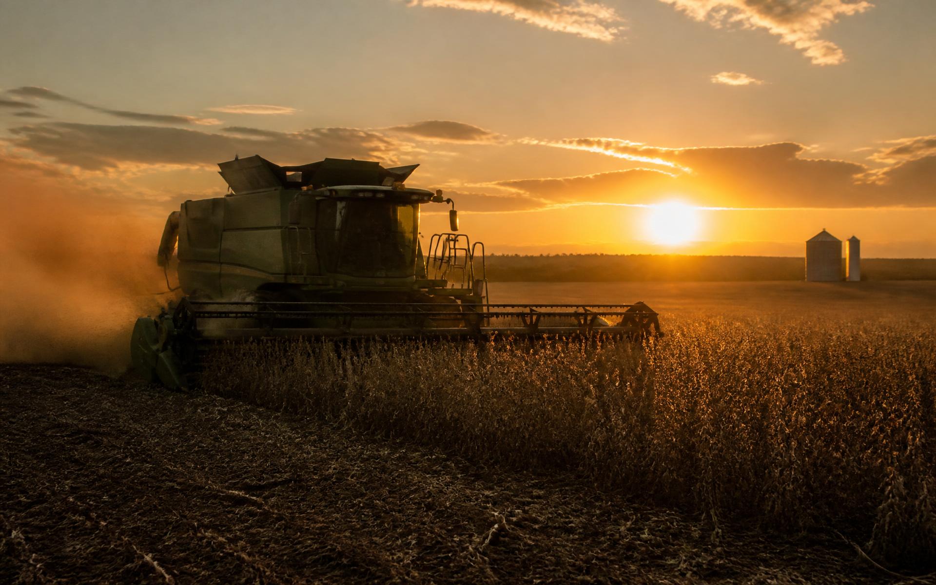 Seed handling and delivery, where evaluated genetics reach the grower intact.